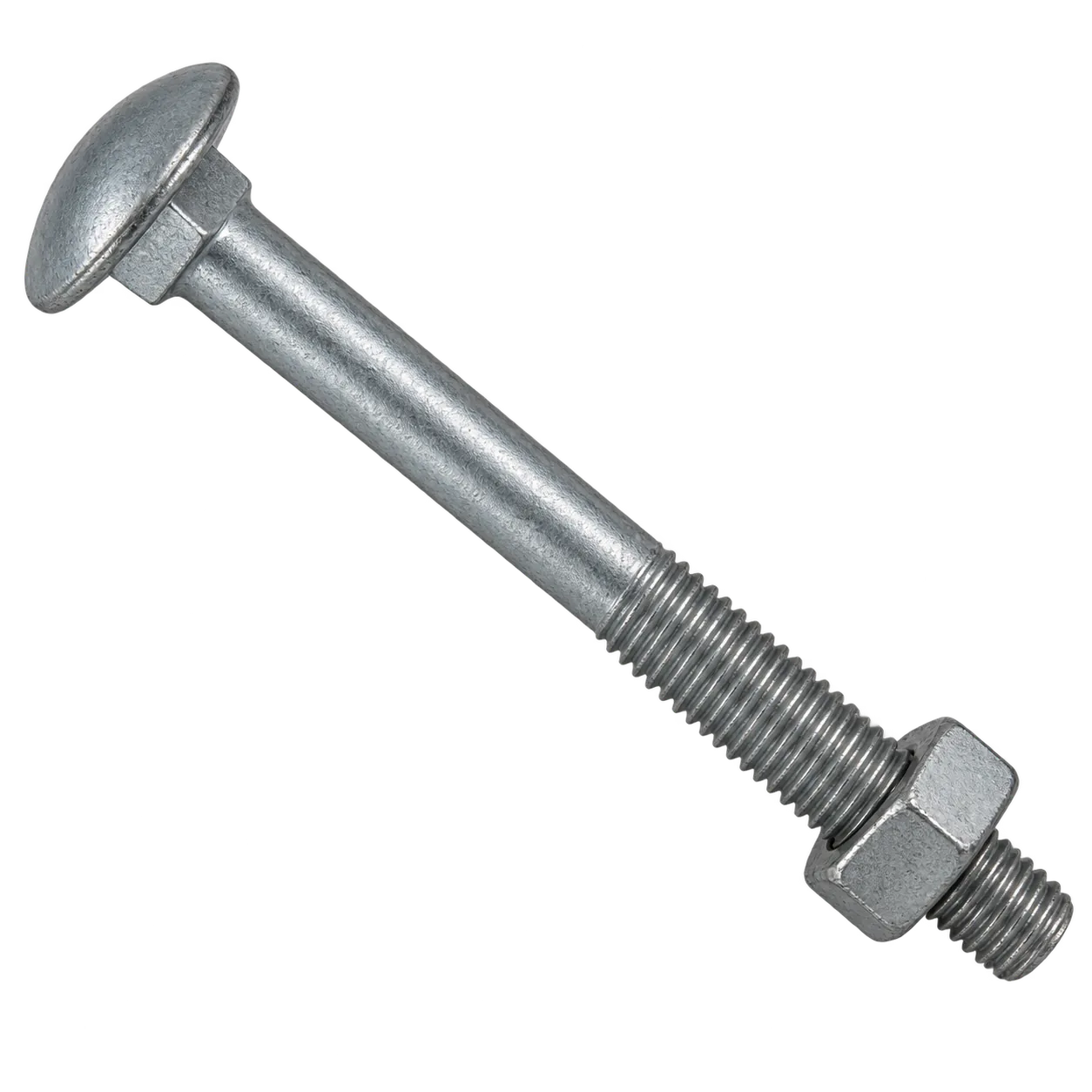 Carriage Bolt